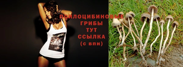марки lsd Алзамай