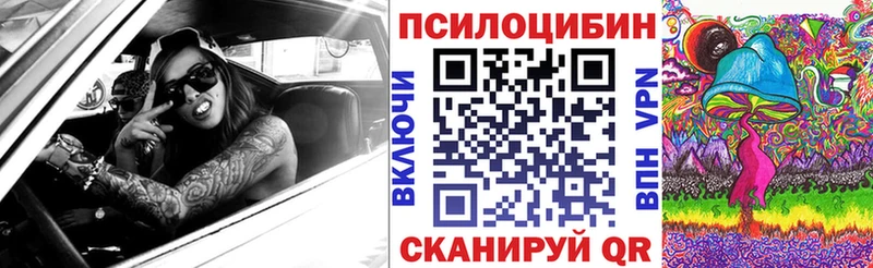 Купить закладки  Тимашёвск  Галлюциногенные грибы мицелий 